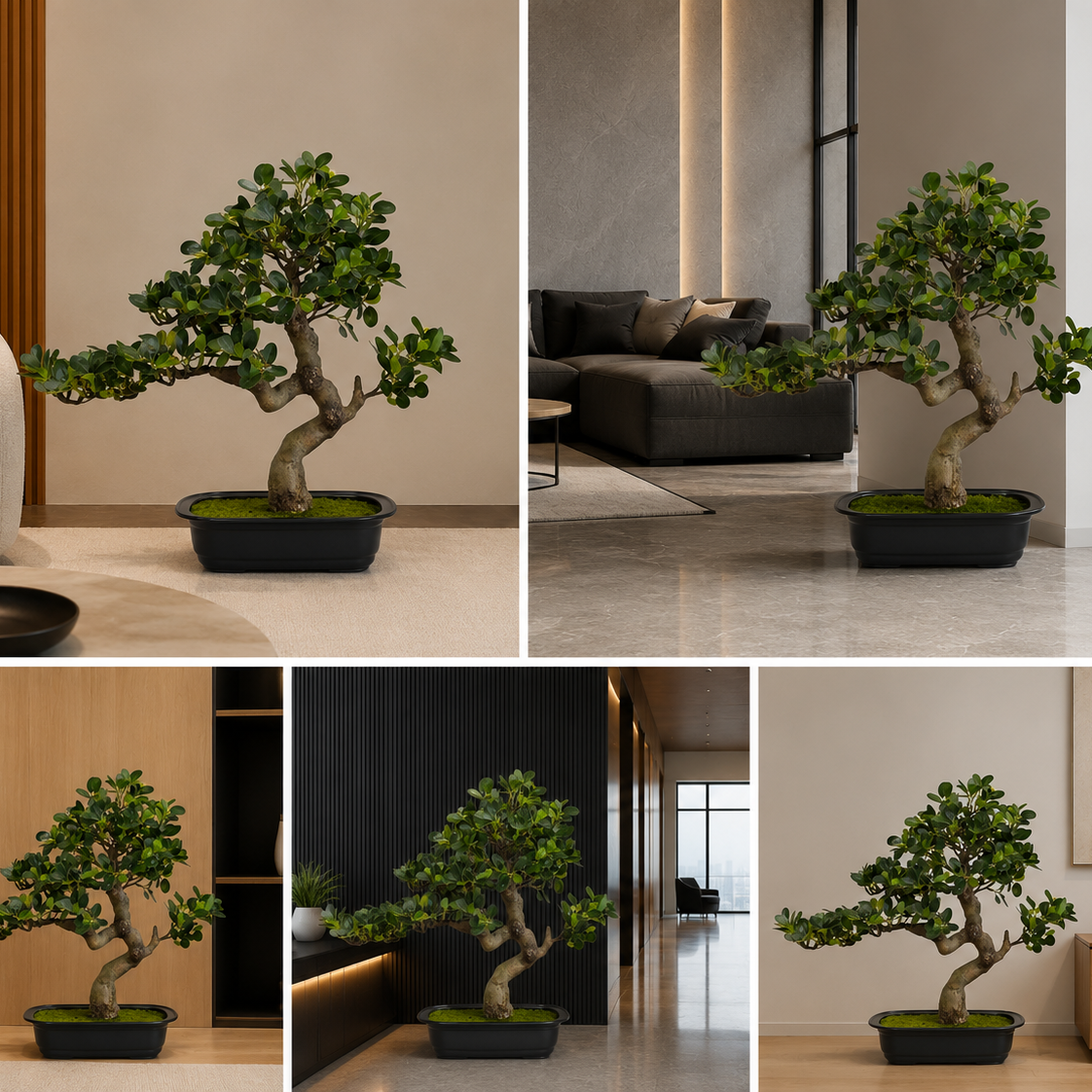 Natural Touch Artificial Bonsai Plant 1.5 Ft with Decorative Pot for Premium Interiors