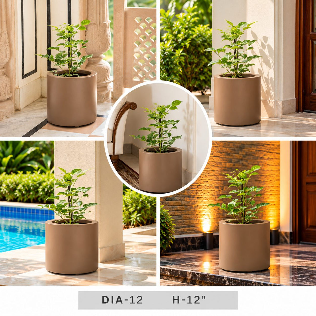 Green Decorative Plant in Brown Round Planter Pot – 12 x 12 Inches for Home Decor