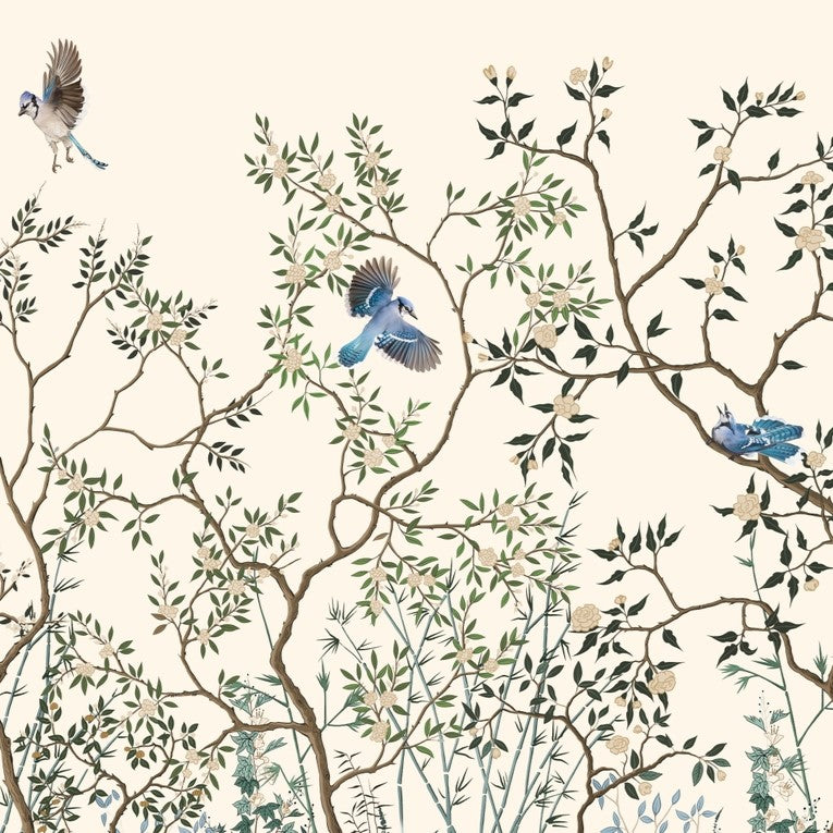 Chirping Birds Wallpaper for Living Room