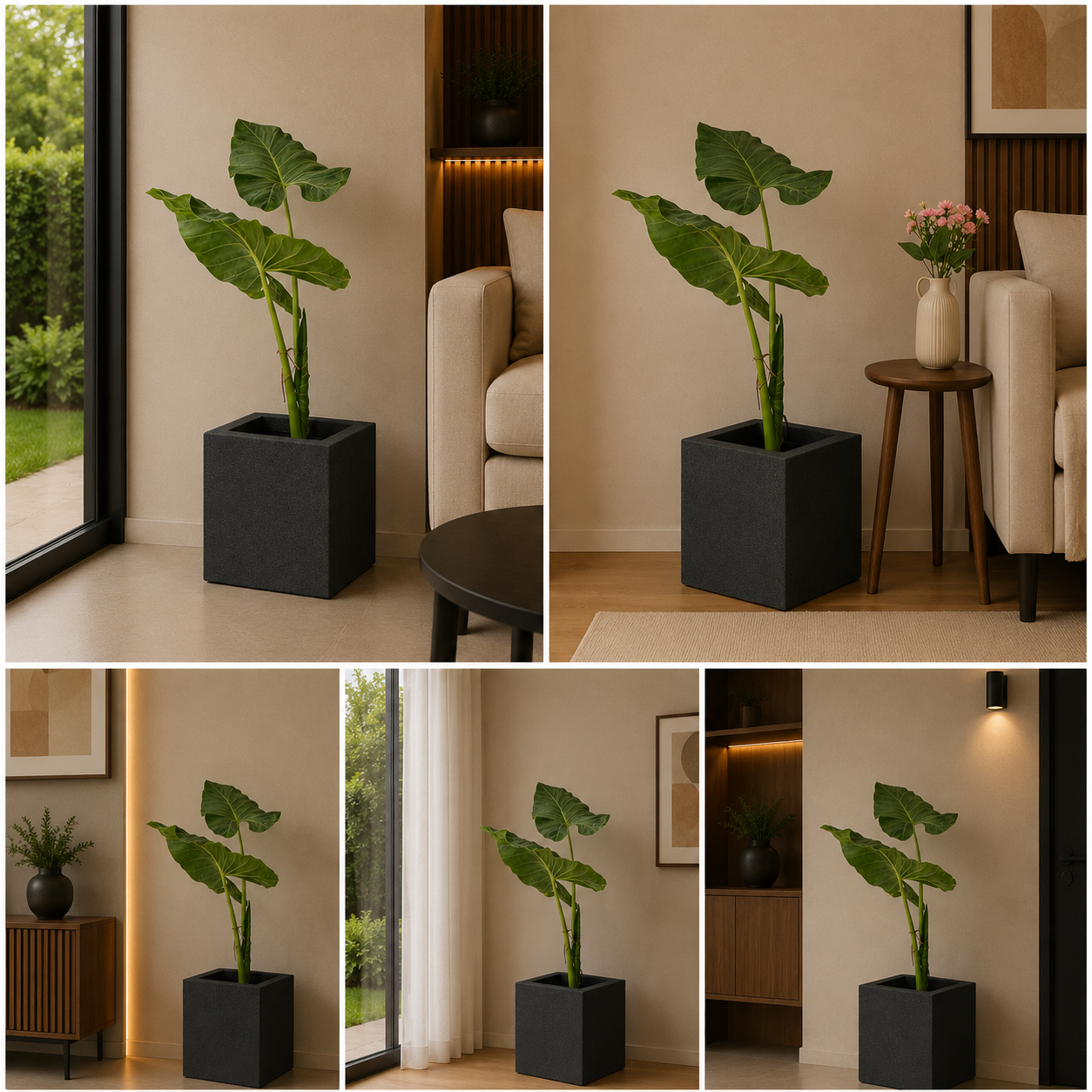Planters Pots for Decors, Giftings | FRP Pots and Planets for Office Decors