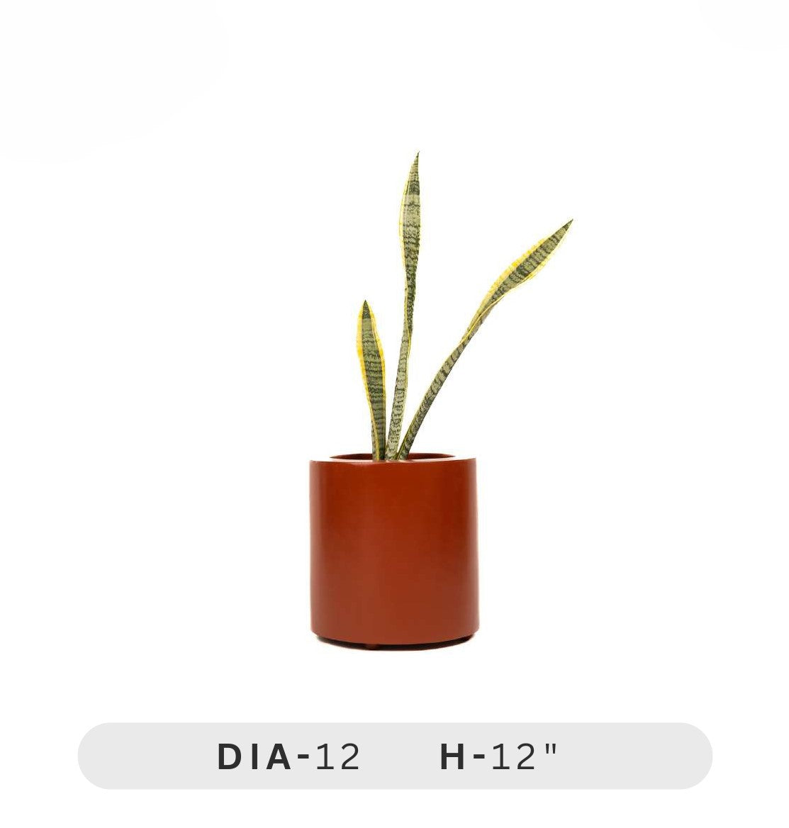 Planters Pots for Decors, Giftings | FRP Pots and Planets for Office Decors Small potted plant in a terracotta pot on a white background with dimensions displayed.