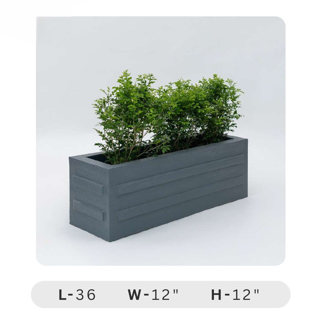 Planters Pots for Decors, Giftings | FRP Pots and Planets for Office Decors Gray rectangular planter with green plants on a white background