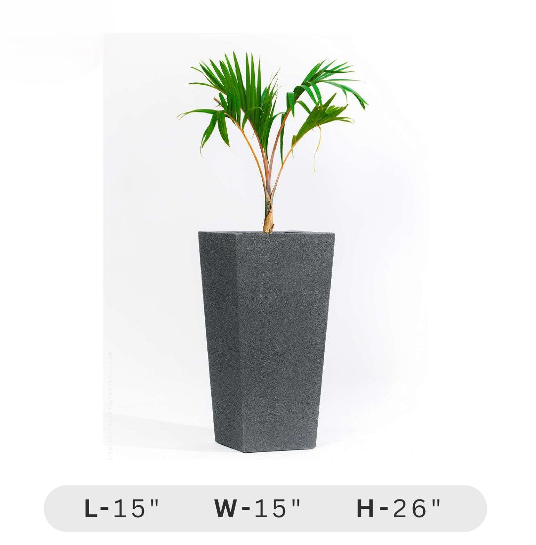 Planters Pots for Decors, Giftings | FRP Pots and Planets for Office Decors Tall gray planter with a green plant on a white background
