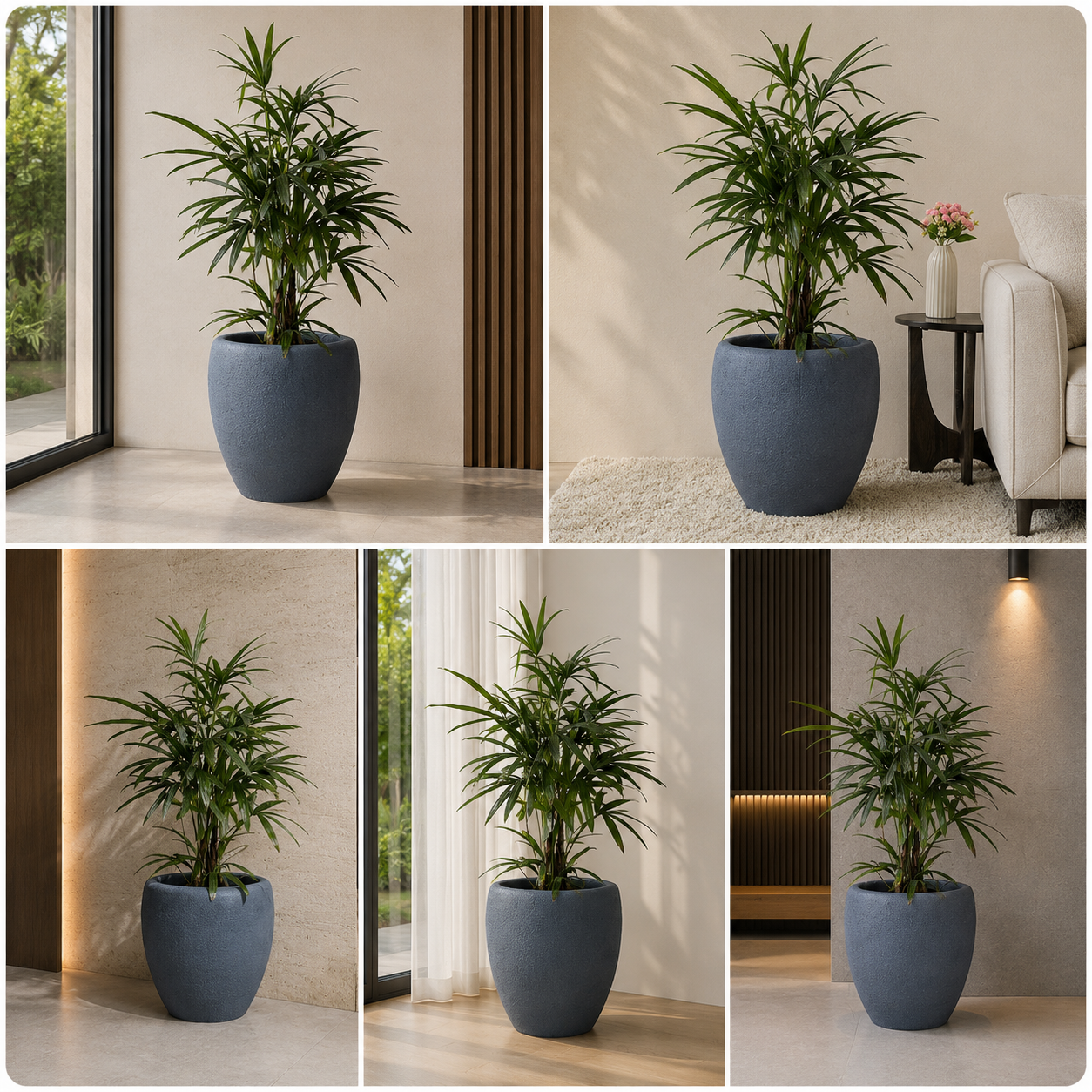 Large decorative palm planter for living room and office interiors