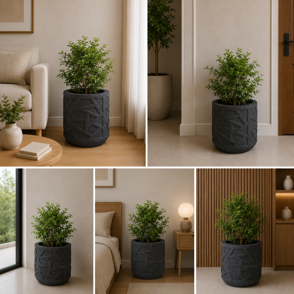 Large luxury planter with green indoor plant for living room styling