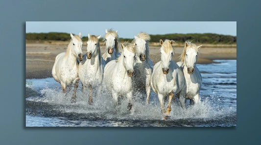 Seven White Running Horses Vastu painting