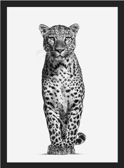 Black & White