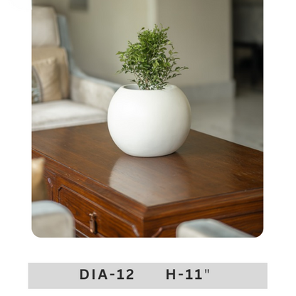 12 inch diameter cream white decorative plant pot with rounded cylindrical body and ornamental green foliage for contemporary interiors