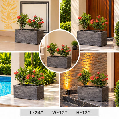 Decorative Green Flowering Plants in Textured Charcoal Rectangular Planter for Home Decor