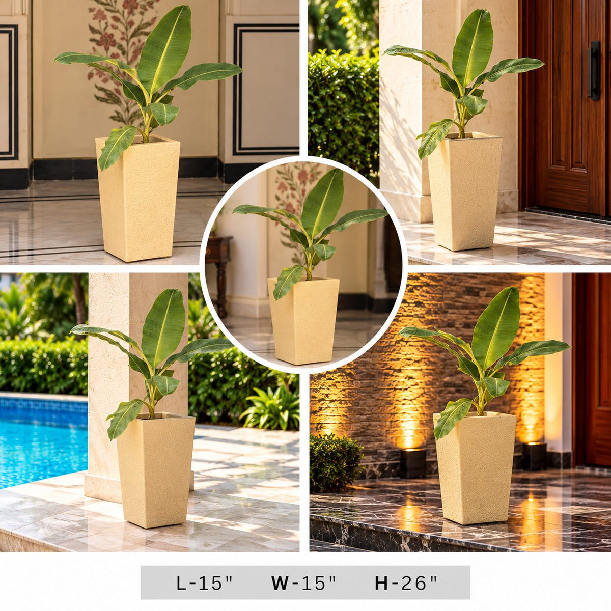 Decorative Green Leaf Indoor Plant in Modern Charcoal Planter Pot for Home & Office Decor
