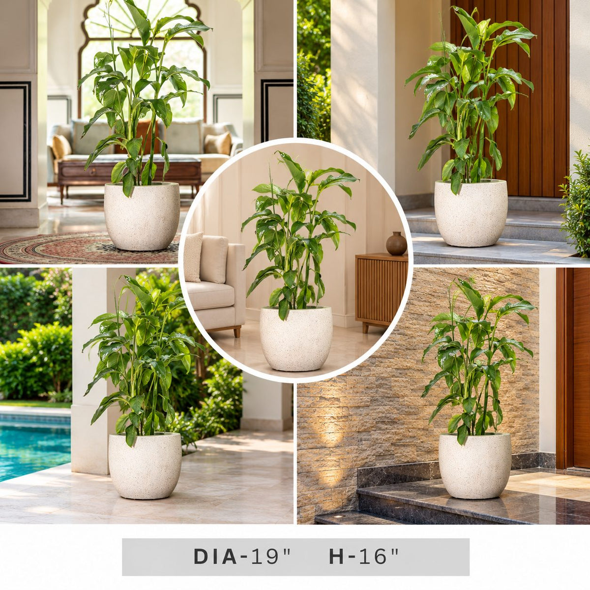 White Textured Round Planter with Green Indoor Plant for Modern Home & Office Decor