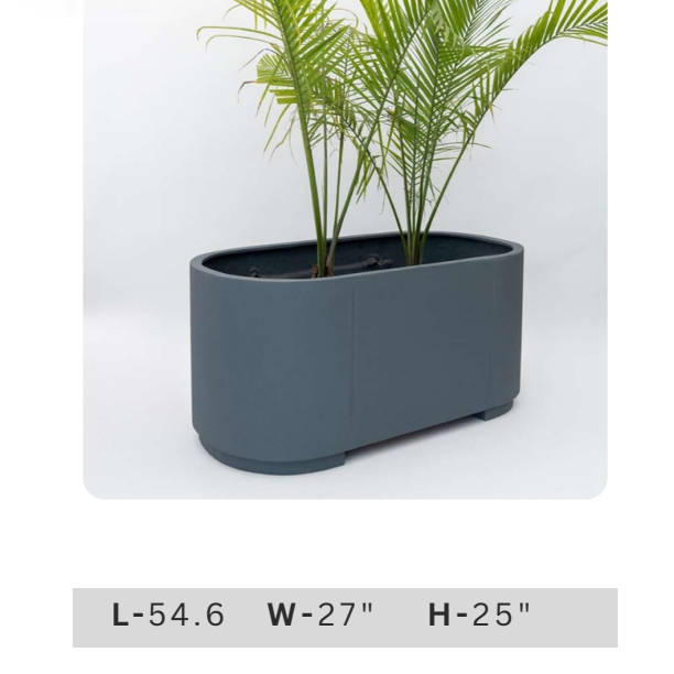 54.6 inch long charcoal grey rectangular planter box with modern minimalist design and tropical palm plants for contemporary home entrance