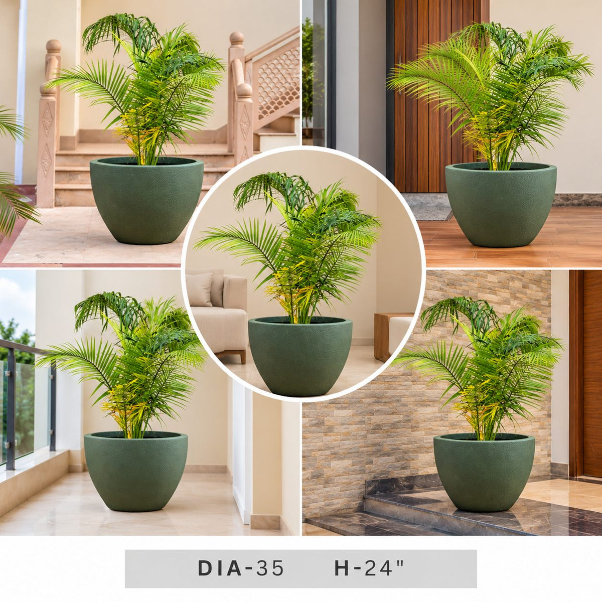 Palm Plant in Green Decorative Planter for Modern Home and Garden Decor