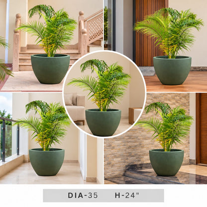 Palm Plant in Green Decorative Planter for Modern Home and Garden Decor