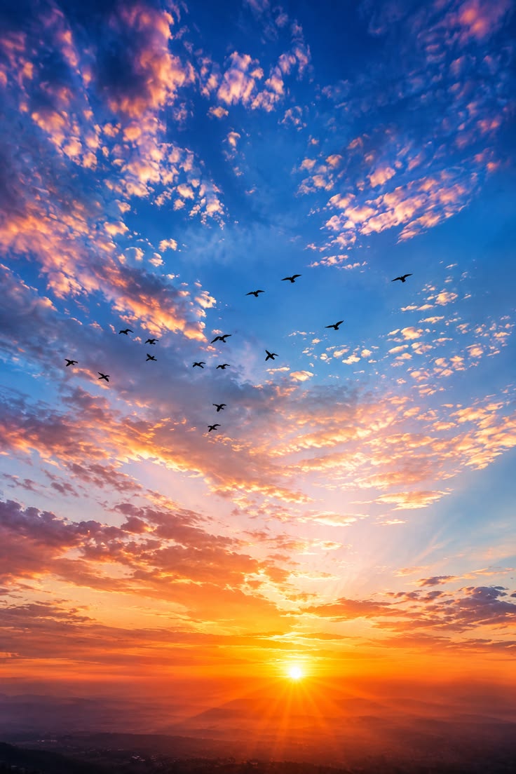 Sunset Sky Ceiling Panel with Flying Birds for Luxury Living Room False Ceiling Decor