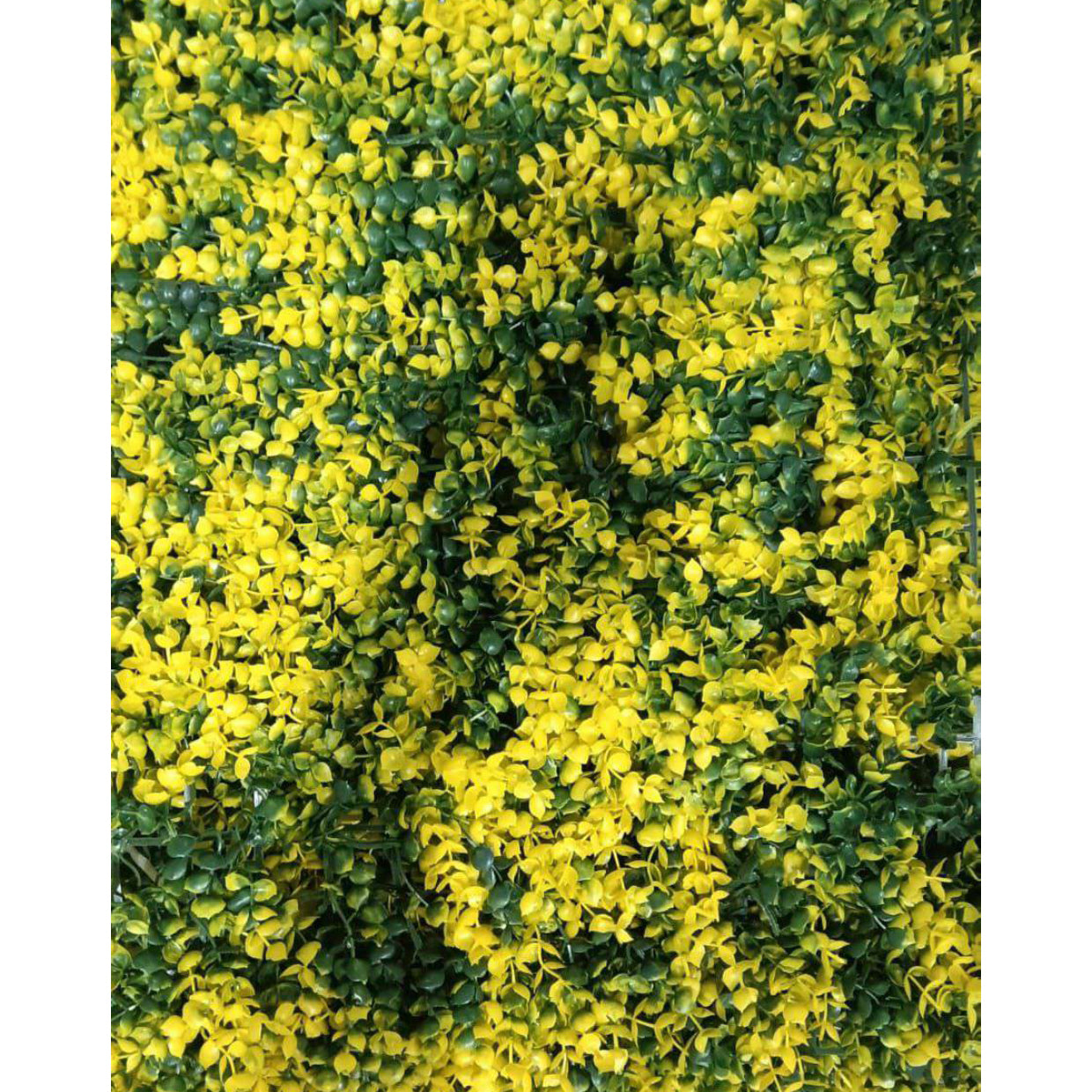 Artificial Vertical Garden, Artificial Wall Flower for Wall Decor | Artificial Green Wall Hanging Plants | Wall Decoration (16 by 24 Inches) Close-up of a bush with yellow flowers and green leaves