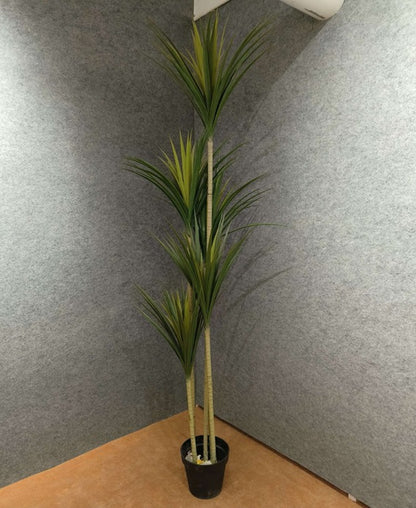 Artificial plants Dracaena Palm Tree in Pot – Indoor Plant for Home & Office for Living room decoration