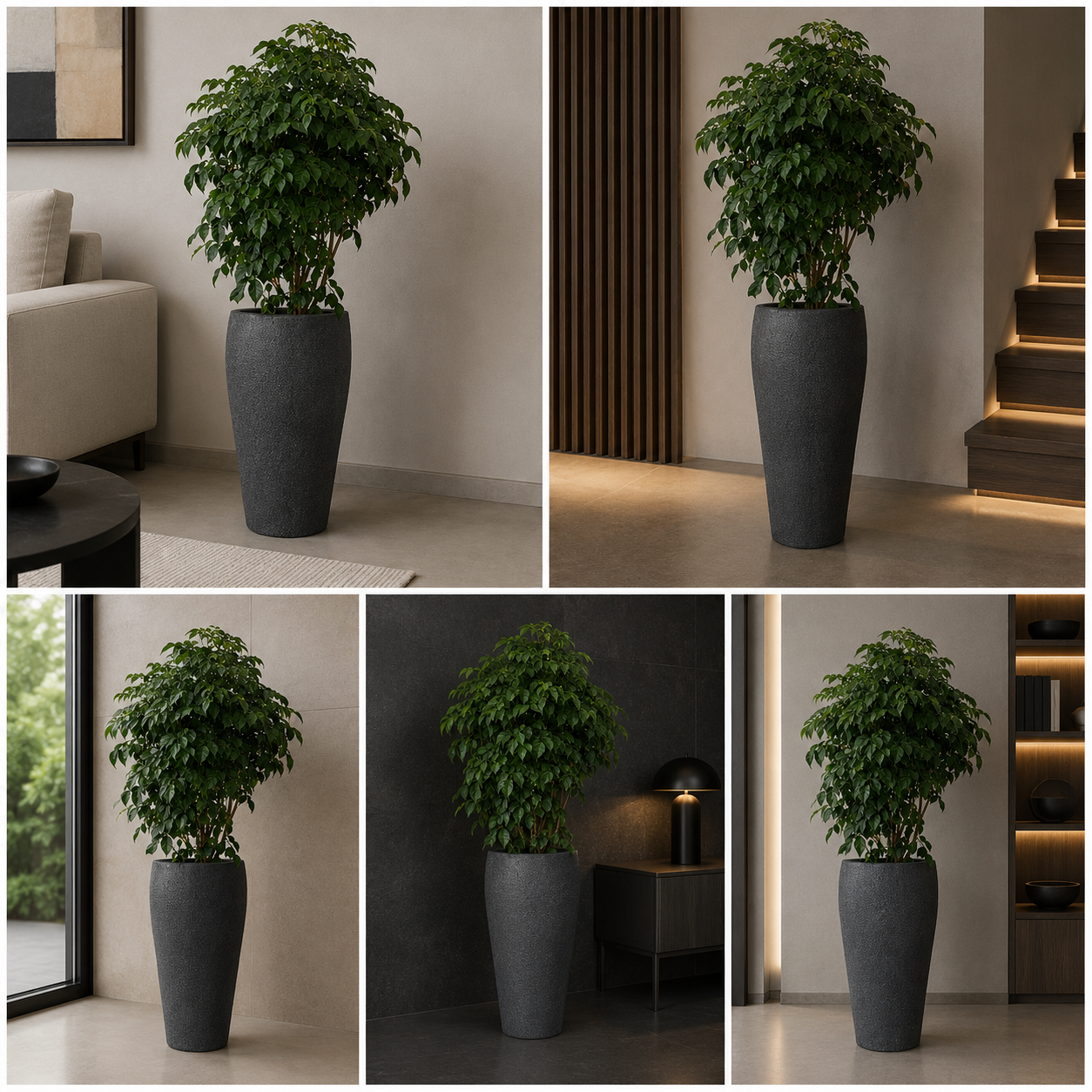 Planters Pots for Decors, Giftings | FRP Pots and Planets for Office Decors