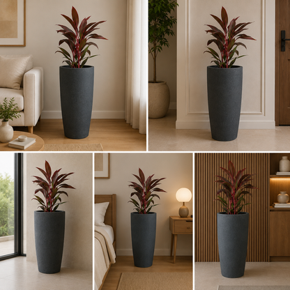 Large decorative indoor planter with tropical cordyline plant