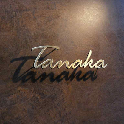 Premium cursive metal surname sign displayed on a dark wooden front door and stone entrance wall in a modern luxury home.