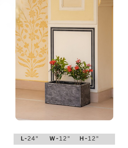 Ornamental green plants with vibrant red flowers in a long grey rectangular planter for living room, entrance and patio decoration