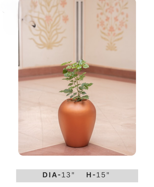 Tropical green foliage in a dark grey cylindrical planter pot for contemporary home, balcony and office decor