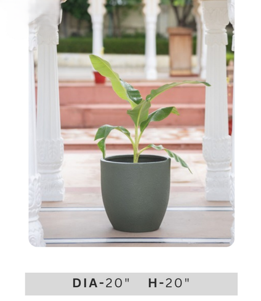 Tropical green foliage in a minimalist cream square planter for indoor home, balcony and office decoration