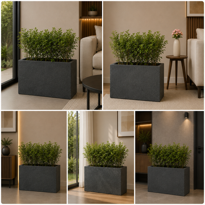 Large modern planter box with green hedge plants for contemporary interiors
