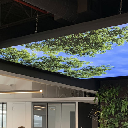 Premium LED Backlit Blossom Sky Stretch Ceiling Panel | Printed False Ceiling Light Design for Home & Commercial Interiors
