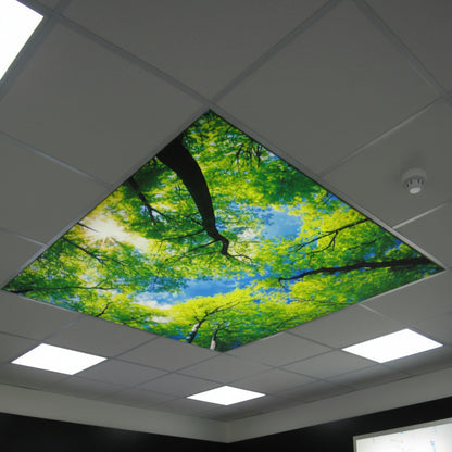 Premium LED Fabric Lightbox Display Wall | Backlit Exhibition Display Panel for Retail, Events & Branding