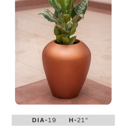 Small green leafy decorative plant in orange ceramic-style planter for entrance, bedroom and office decoration