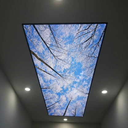 Backlit fabric ceiling light box featuring a nature scene with trees and blue sky