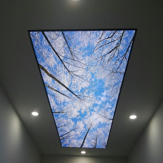 Backlit fabric ceiling light box featuring a nature scene with trees and blue sky