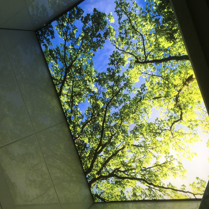 Backlit fabric ceiling display featuring a realistic sunlit tree canopy and blue sky