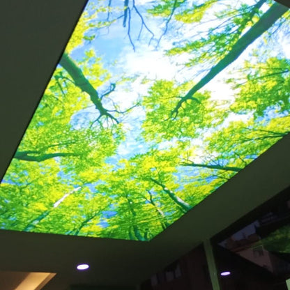 Backlit fabric ceiling light panel featuring a bright green forest canopy and sky