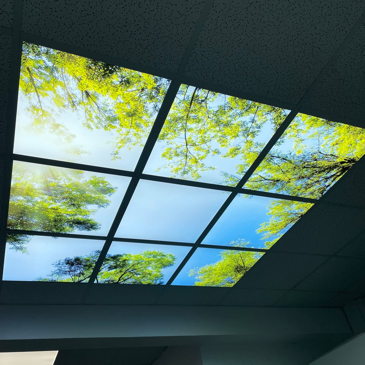 Backlit fabric light box panels creating a realistic sky and trees ceiling feature indoors