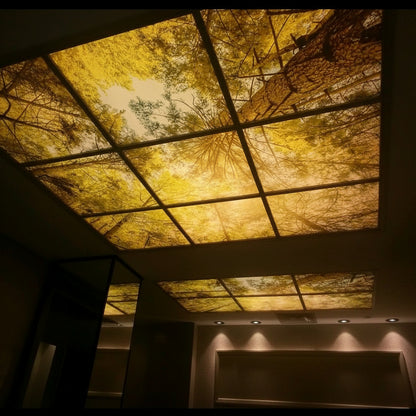 Backlit fabric ceiling panel featuring a warm golden forest and tree canopy scene