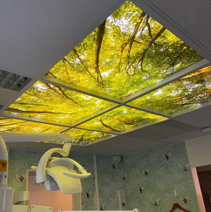 Backlit fabric ceiling panels with nature and forest graphic installed in a modern treatment room