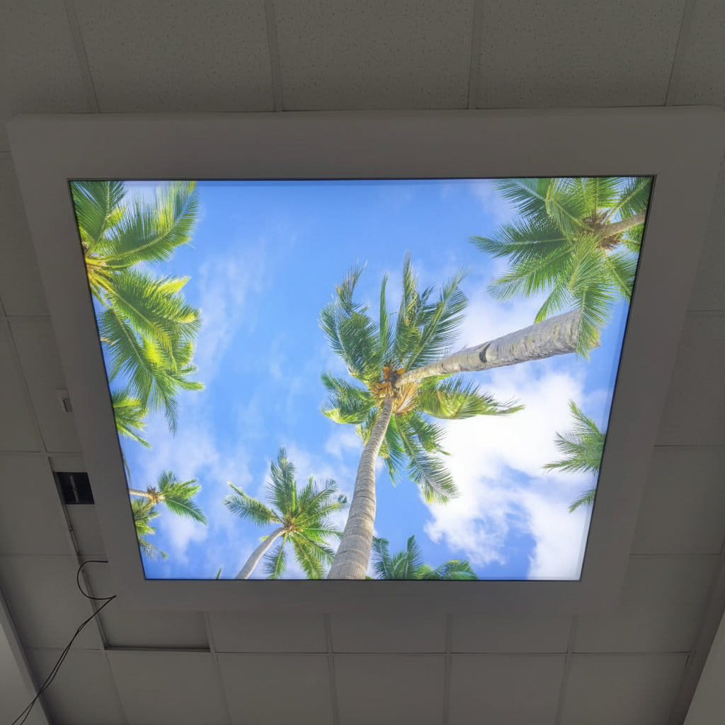 Large backlit LED display panel for retail branding and event backdrop