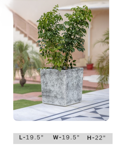Textured concrete-look square planter for garden, balcony, patio, living room and modern outdoor landscaping.
