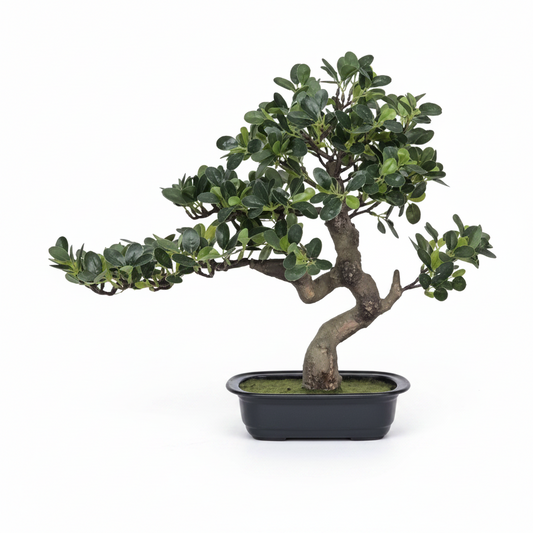 Premium Artificial Bonsai Tree Indoor Decorative Plant for Home Office Table Décor