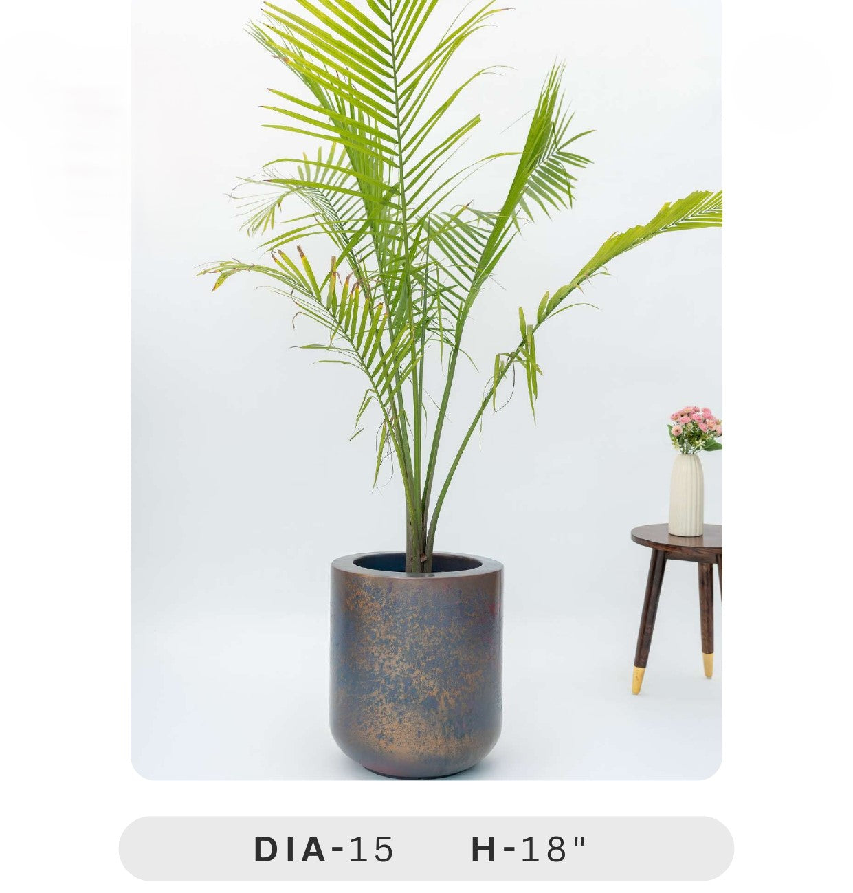 Planters Pots for Decors, Giftings | FRP Pots and Planets for Office Decors Potted plant with a white background and a small table with flowers in the corner.