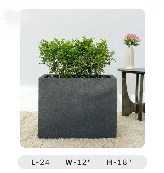 Planters Pots for Decors, Giftings | FRP Pots and Planets for Office Decors Rectangular planter with a plant on a light gray background