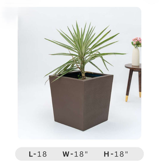 Planters Pots for Decors, Giftings | FRP Pots and Planets for Office Decors Square brown planter with a plant on a white background