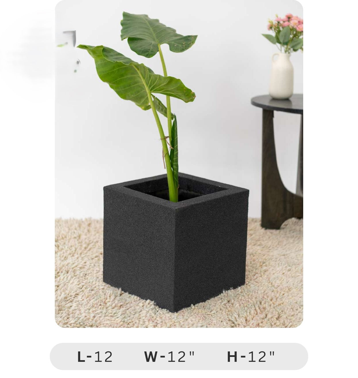 Planters Pots for Decors, Giftings | FRP Pots and Planets for Office Decors Black square planter with a plant on a beige carpet, with dimensions displayed.