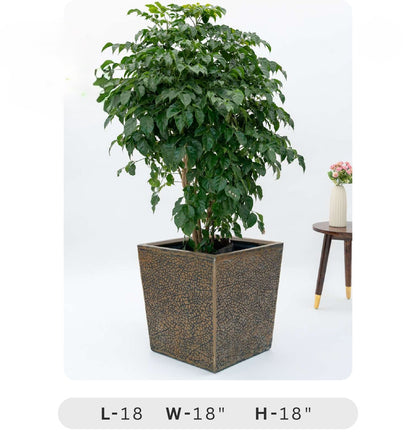 Planters Pots for Decors, Giftings | FRP Pots and Planets for Office Decors Potted plant in a decorative pot on a white background