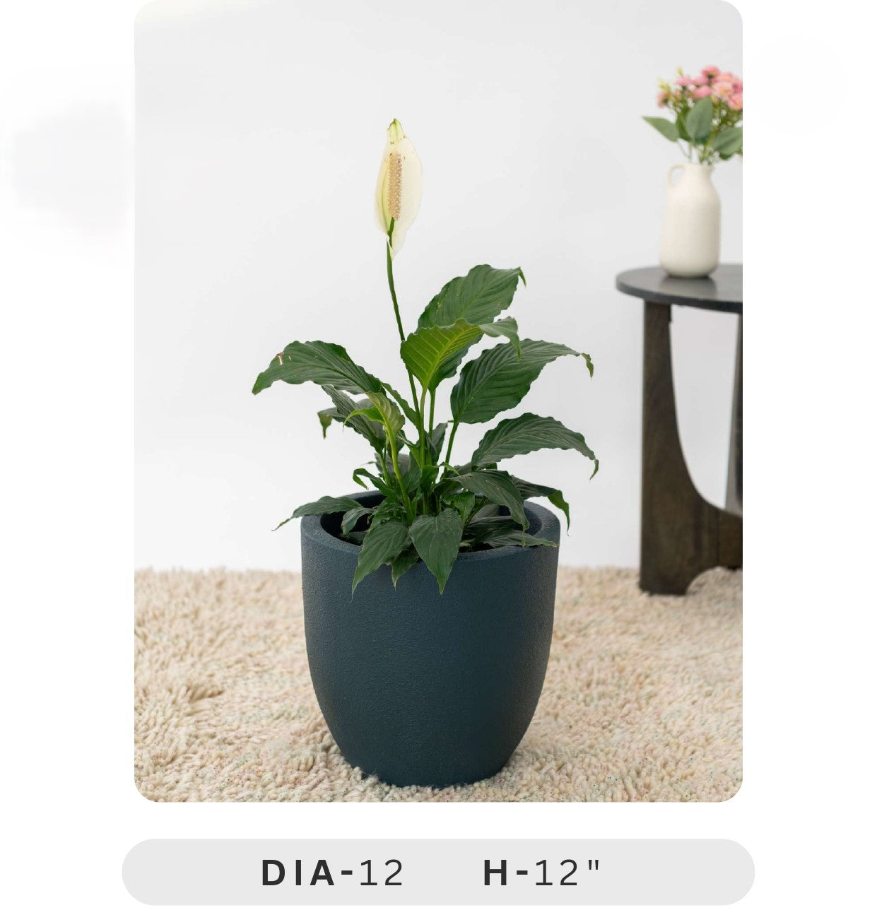 Planters Pots for Decors, Giftings | FRP Pots and Planets for Office Decors Potted plant with a white flower in a dark green pot on a beige carpet.