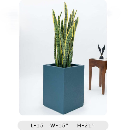Planters Pots for Decors, Giftings | FRP Pots and Planets for Office Decors Teal planter with a snake plant on a white background