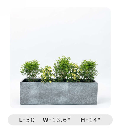 Planters Pots for Decors, Giftings | FRP Pots and Planets for Office Decors Rectangular planter with plants on a white background