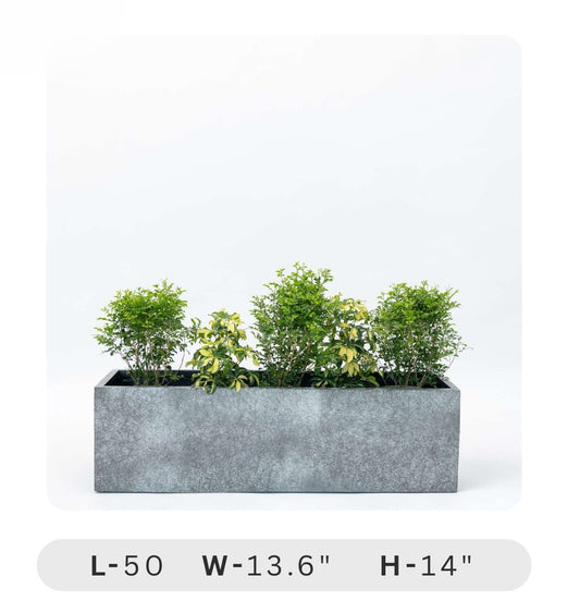 Planters Pots for Decors, Giftings | FRP Pots and Planets for Office Decors Rectangular planter with plants on a white background